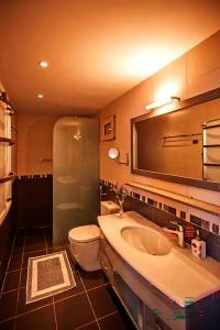 a bathroom with a toilet and a sink and a shower at Centrally located in Gaios +2 photos