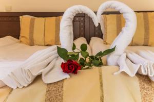 Postel nebo postele na pokoji v ubytování Family Hotel Teteven