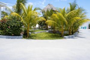 a row of palm trees on the beach at Palm Residence Vacation Villa in Nungwi