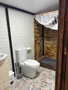a bathroom with a toilet and a shower at Cabaña rural con piscina privada in Orihuela +8 photos