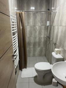 a bathroom with a toilet and a sink at Etno kuca Brzece in Brzeće +85 photos
