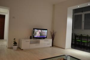 Un televizor și/sau centru de divertisment la Lazarus Apartment