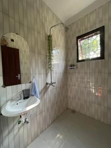 a bathroom with a sink and a mirror and a window at Serene homes in Mwanza +19 photos