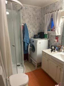 a bathroom with a shower and a toilet and a sink at Holiday home for rent in Lyngen