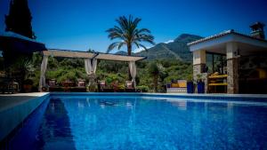 - une piscine avec un kiosque et un palmier dans l'établissement Finca Sonrisa, à Alhaurín el Grande