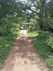 a dirt road with a house in the distance at Uswatta in Matara