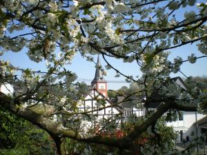eine Kirche mit einem Kirchturm hinter einem Baum mit weißen Blumen in der Unterkunft Maisonette im Hof Krupp in Bruchhausen
