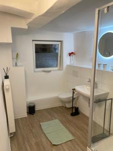 a bathroom with a toilet and a sink at Fachwerk Rustikal in Melsungen +24 photos