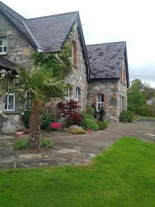 a stone house with a palm tree in front of it at Drumhierney Lodge in Leitrim