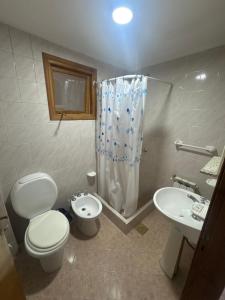 a bathroom with a toilet and a sink and a shower at Hosteria Ailen in Ushuaia +18 photos