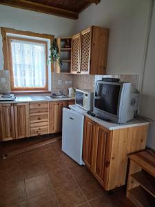 a kitchen with a refrigerator and a tv on a counter at Motýlek chata Sedmička in Borušov
