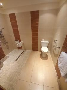 a bathroom with a toilet and a toilet paper dispenser at Le Motel Saint Martin in Verneuil d'Avre et d'Iton +28 photos