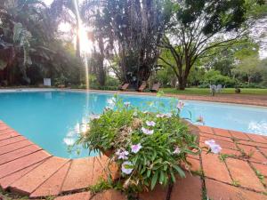 a pot of flowers on a brick wall next to a swimming pool at Malandela's Guest House in Malkerns +15 photos