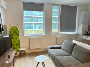 a living room with a couch and two windows at Studio Pompeiu in Bucharest