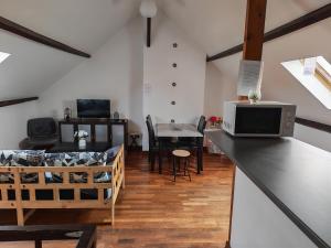 a kitchen and living room with a counter top at Appart 3 sous combles in Bray-Dunes