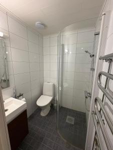 a bathroom with a shower and a toilet and a sink at Korpinpesä in Korppoo