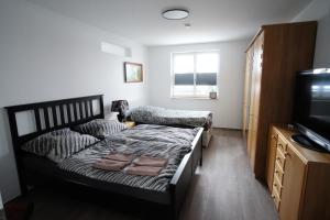 a bedroom with a bed and a television at Ferienwohnung Lerchenstraße in Schwerin