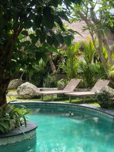 a pool in a garden with two chairs and a bench at Sampian Cottages Bingin in Uluwatu +10 photos