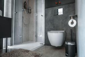 a bathroom with a shower and a white toilet at The Glass Globe in Traphill