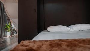 a bed with two white pillows in a room at The Glass Globe in Traphill