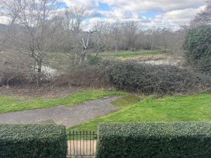 a garden with a gate and bushes and a pond at Riverview Colchester in Colchester