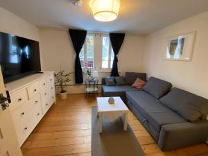 a living room with a couch and a tv at Frihmess in Bensheim