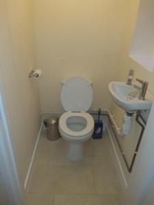 a small bathroom with a toilet and a sink at 4 St Richard’s Cottages in Fittleworth +20 photos
