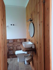 a bathroom with a sink and a toilet and a mirror at Salga Lodge in Angra do Heroísmo +60 photos