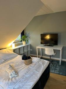 a bedroom with a bed with a television and a desk at Ferienwohnung Benz in Löningen