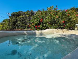 a swimming pool in front of a bush with red flowers at サ郷 kakeRu 新旧アースバッグサウナ付 in Onna