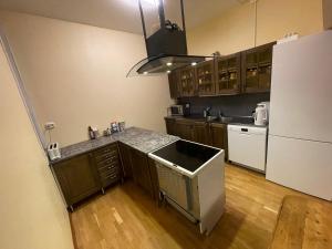 a kitchen with a sink and a refrigerator at Laplanders room 3 in Kiruna