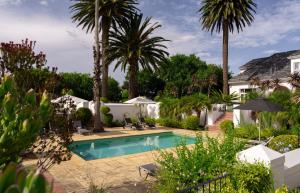 a swimming pool in a yard with palm trees at Wild Mushroom Country House in Stellenbosch