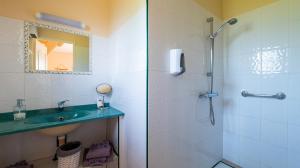a bathroom with a glass shower and a sink at La Ferme des Grisettes in Montesquiou