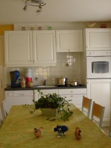 
A kitchen or kitchenette at Hoevedomein Polderrust
