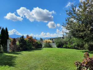 a yard with a green lawn with trees and bushes at grosses Zimmer mit eigener Küche Dusche WC in Kappel am Albis