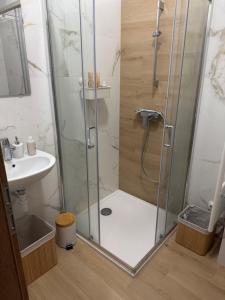 a shower with a glass door in a bathroom at Ekoviki2 in Kranj