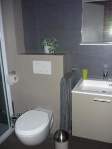 a bathroom with a white toilet and a sink at B&B Wiezebed in Wieze