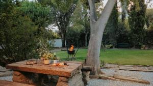 a table with food on it next to a tree at Cypress Cottage - The Old House at River Bend in Graaff-Reinet