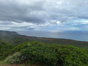 a view of the ocean from a hill with trees at The Oyster Cove in Brenton-on-Sea