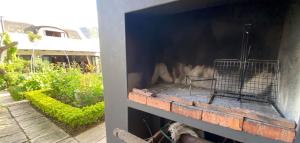 aificialificialificialificialificialificialificialificialificialificialificialificialificialificialificial at Die Nagmaalhuisie in Montagu