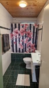 a bathroom with a toilet and a shower curtain with flowers at Apartment Ferreira in Iseltwald +16 photos