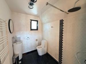 a bathroom with a toilet and a shower at Twin Cabins Azuga in Azuga