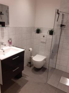 a bathroom with a toilet and a shower and a sink at 100pro-Apartments in Detmold
