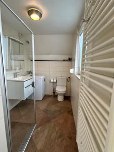 a bathroom with a toilet and a sink at Het schapenhuisje in Herkingen +16 photos