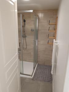 a shower with a glass door in a bathroom at Gîte FABEL HAUT in Durfort