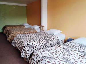 a group of three beds in a room at Belen Achomani in Chivay +24 photos