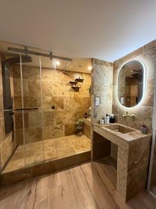 a bathroom with a shower and a sink and a mirror at Charmant appartement Chaleureux in Hyères