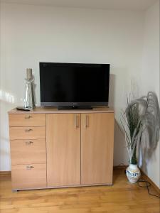 a flat screen tv sitting on top of a wooden cabinet at Ferienwohnung Wasserfall in Golling an der Salzach