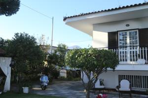 Zahrada ubytování B&B Maison Blanche