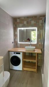a bathroom with a sink and a washing machine at L'Aparté des hibiscus in Les Trois-Îlets +54 photos